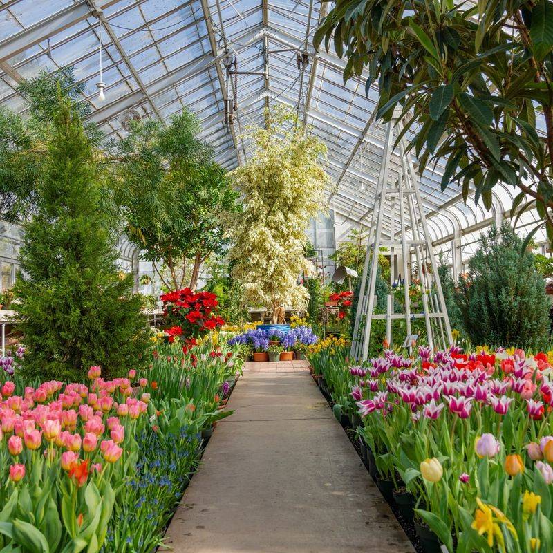 Tropical And Arid Conservatories