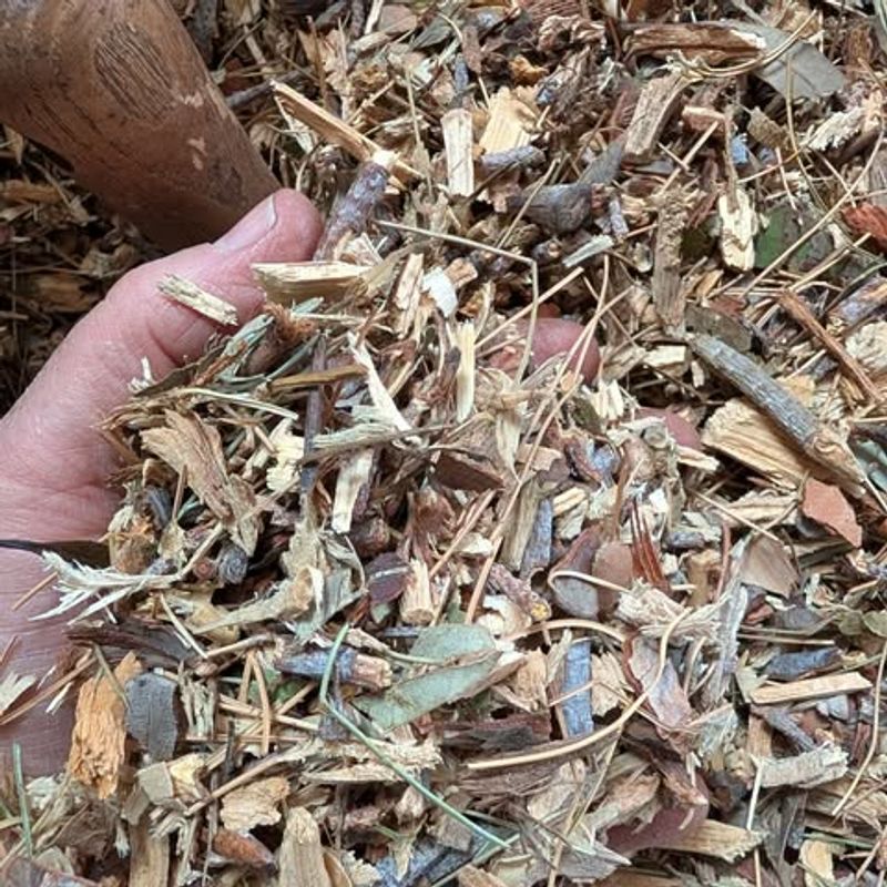 Mulch Protects Soil From Sun And Moisture Loss