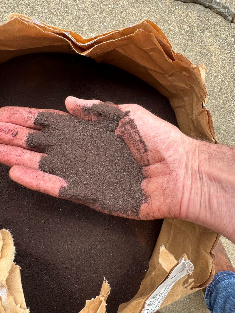 Blood Meal Fixes Nitrogen Deficiency Fast In Georgia Gardens