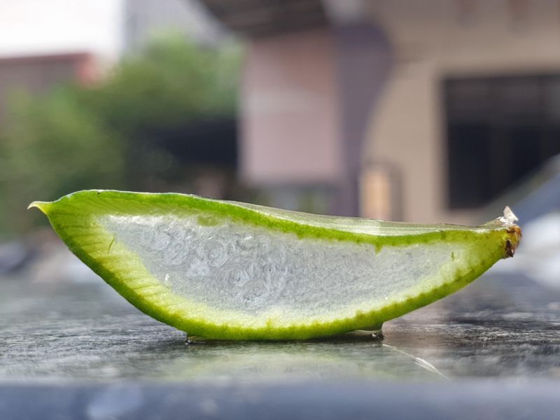 Aloe Gel Root Booster