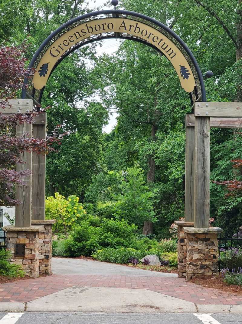 Discover A Hidden Botanical Escape In Greensboro