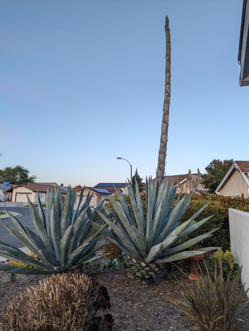 February Sun Warms The Surface But Soil Stays Cool Underneath