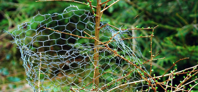 Winter Barriers Block Future Damage