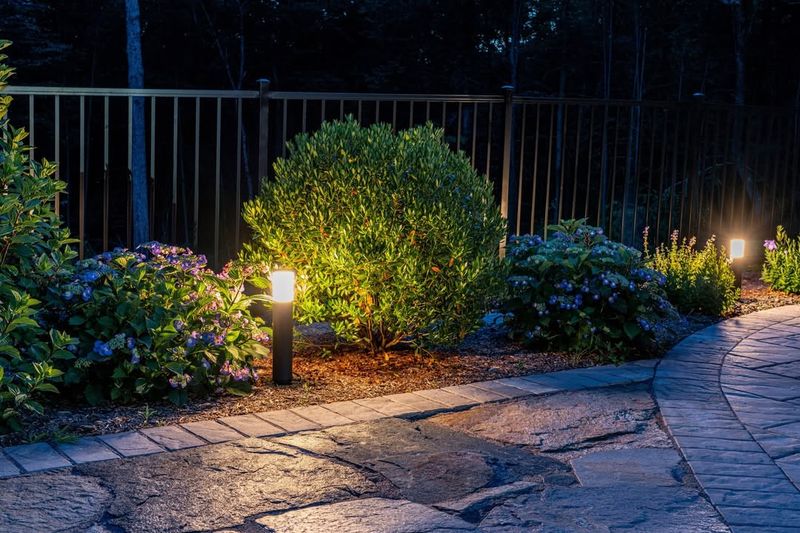 Night Lighting Disrupts Resting And Feeding Patterns