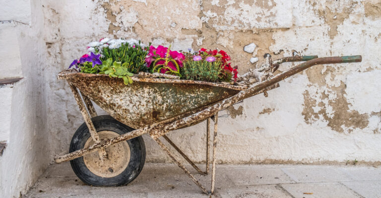 10 Everyday Items Texas Gardeners Can Use As Unique Planters And Save Money On Pots