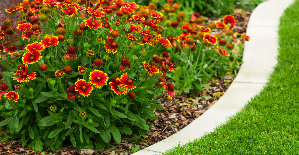 10 Garden Edging Ideas To Instantly Upgrade Texas Outdoor Spaces