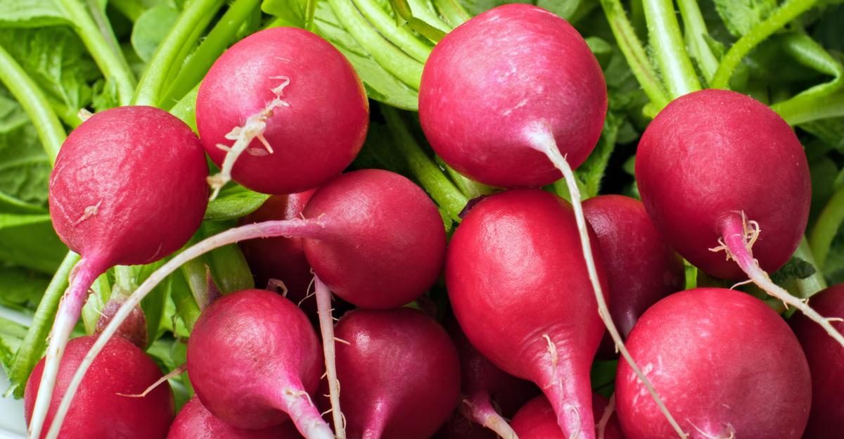 Radishes