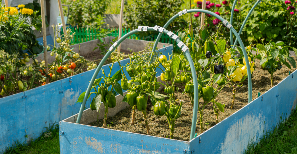 10 Vegetables That Thrive In Raised Beds In Oregon