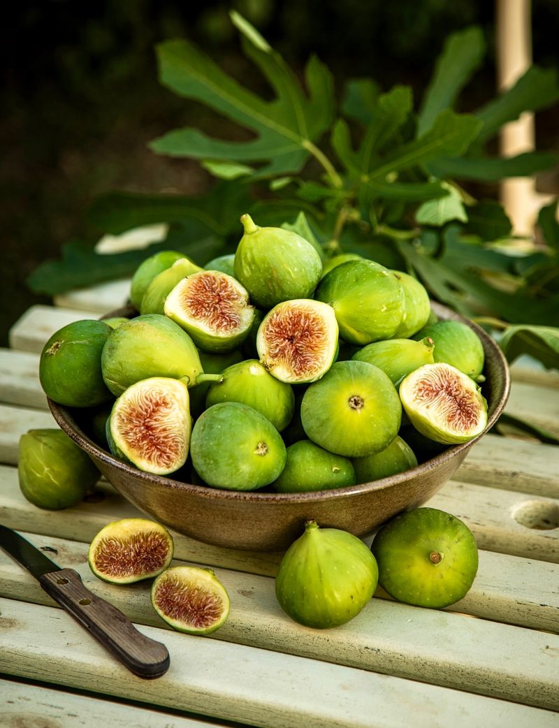 Fig With Old-World Charm And California Ease