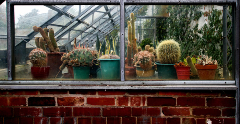 new york balcony plants