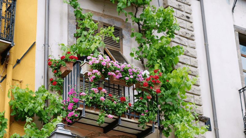 Vertical Wall Planters