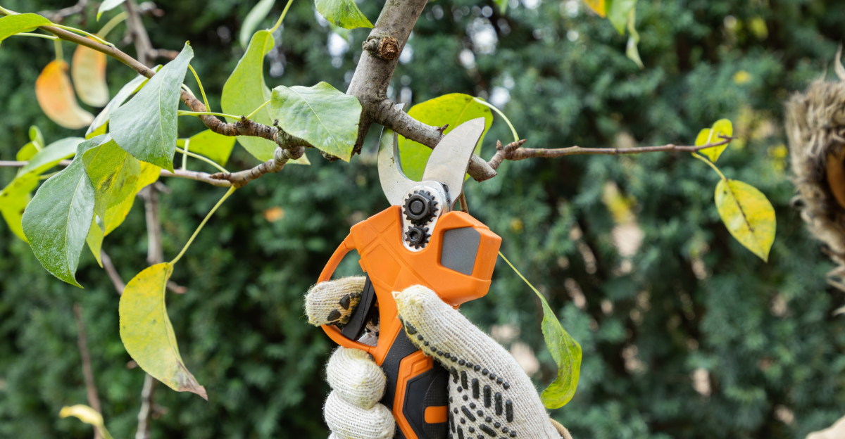 5 Flowering Plants You Can Safely Prune In March In Georgia And 4 To Leave Alone