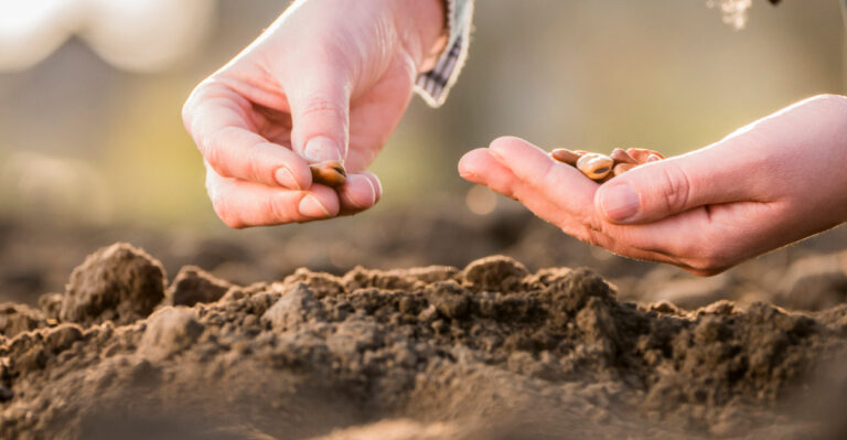 planting (featured image)