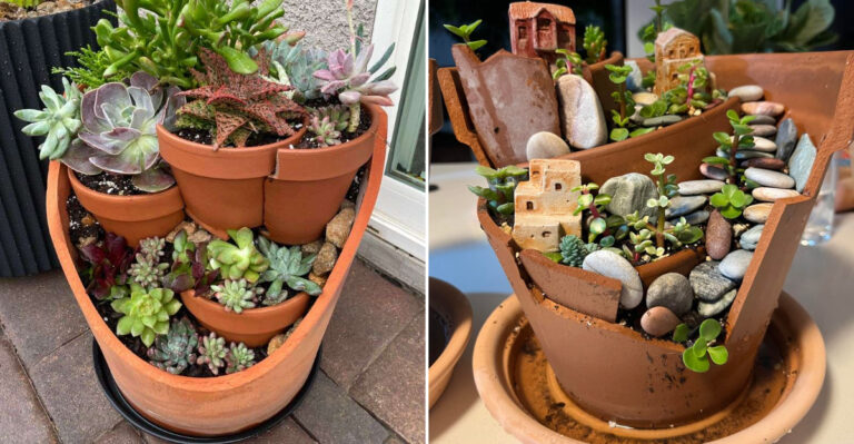 7 Creative Ways To Reuse Old Flower Pots In California Gardens