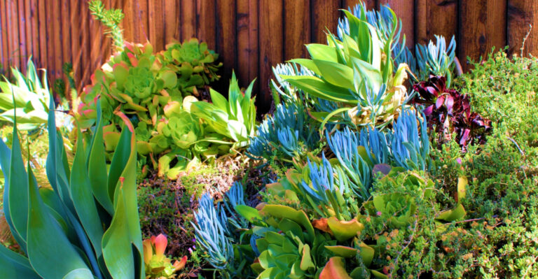 7 Low Maintenance Backyard Ideas For A Stylish Relaxing Space In California