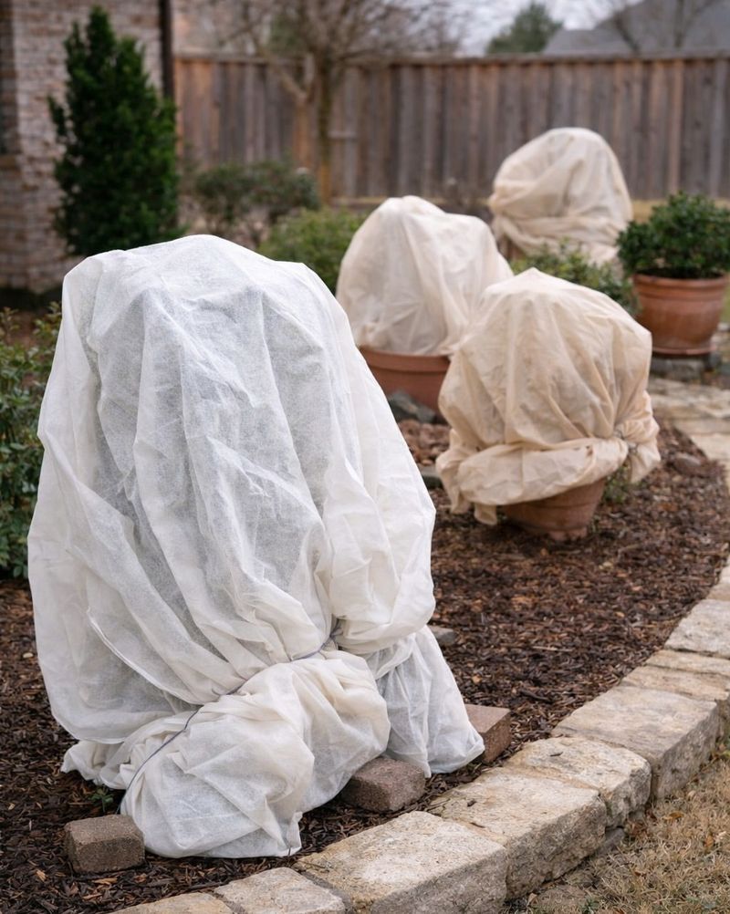 Cover New Growth Overnight With Breathable Frost Cloth