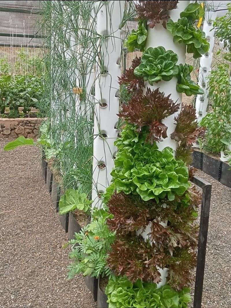 Vertical Garden To Maximize Greenery