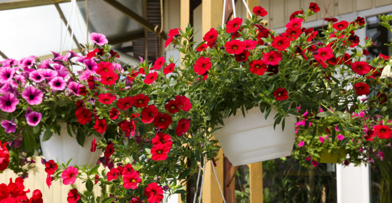 7 Texas Backyard Micro-Oasis Ideas For Small Outdoor Spaces