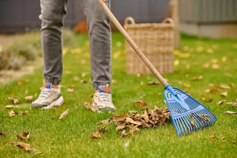 Rake And Remove Debris To Help Grass Green Up Faster