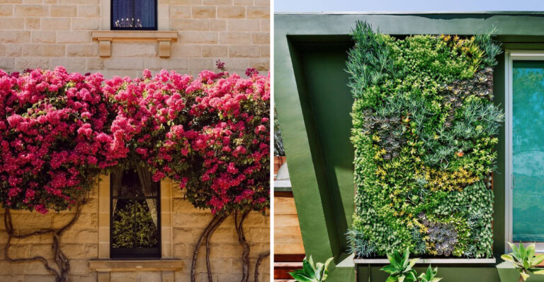 8 Creative Backyard Wall Landscaping Ideas For Arizona Homes