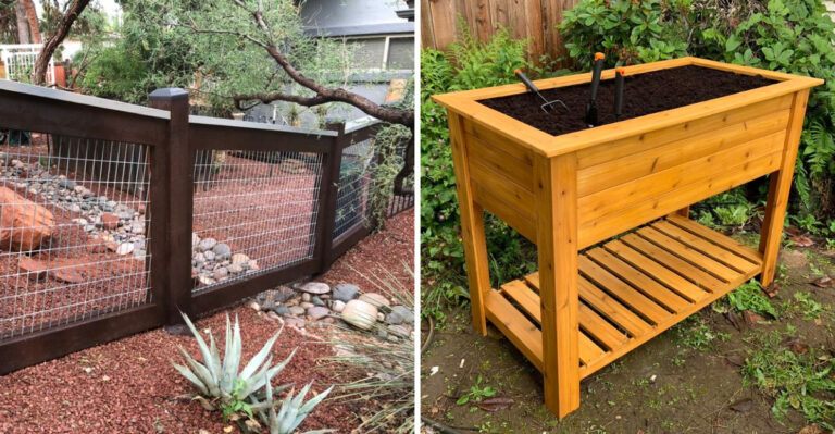 8 Easy Ways To Keep Young Plants Protected From Wildlife In Arizona This April