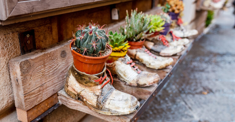 8 Everyday Items Arizona Gardeners Can Use As Unique Planters And Save Money On Pots