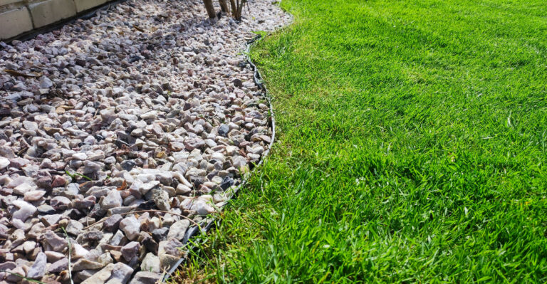 garden (featured image)