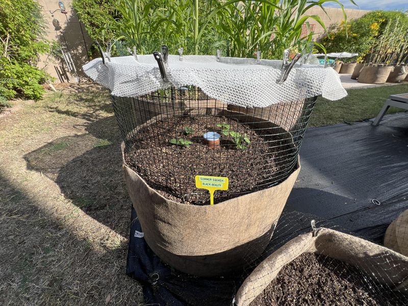 Prep Garden Beds Before The Heat Sets In