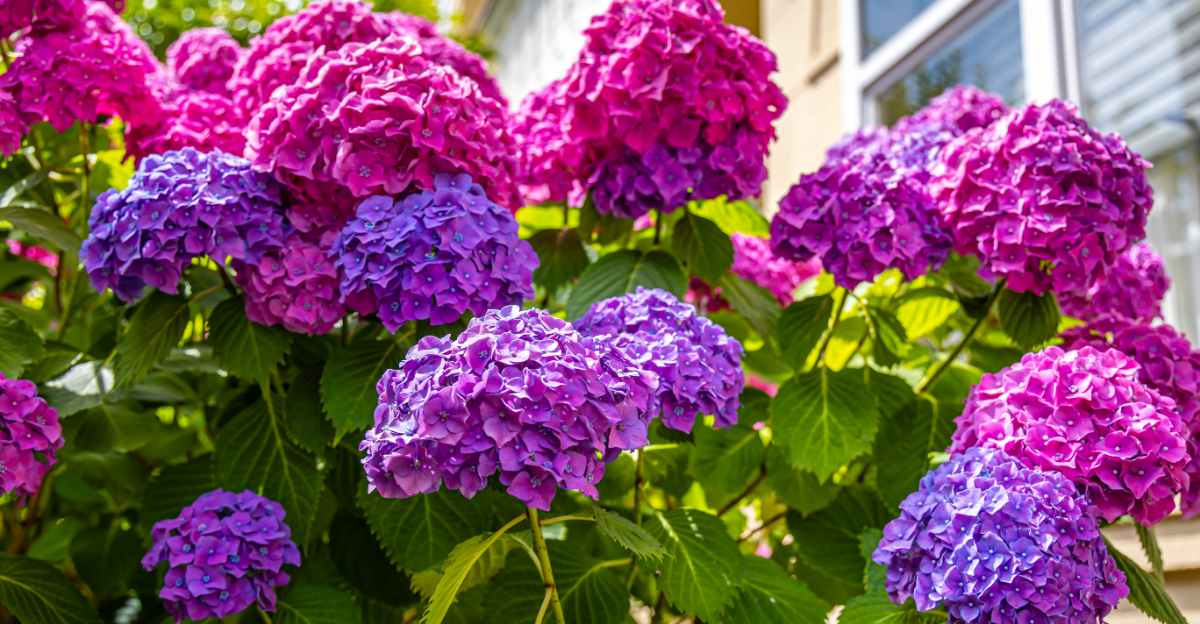 8 Plants That Make Ohio Front Yards Look Beautiful Year-Round