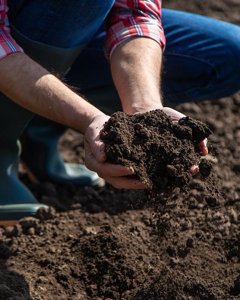 Check Soil Temperature And Moisture Levels