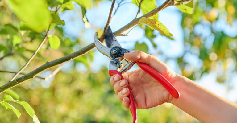 8 Things Successful Michigan Gardeners Always Do Before April