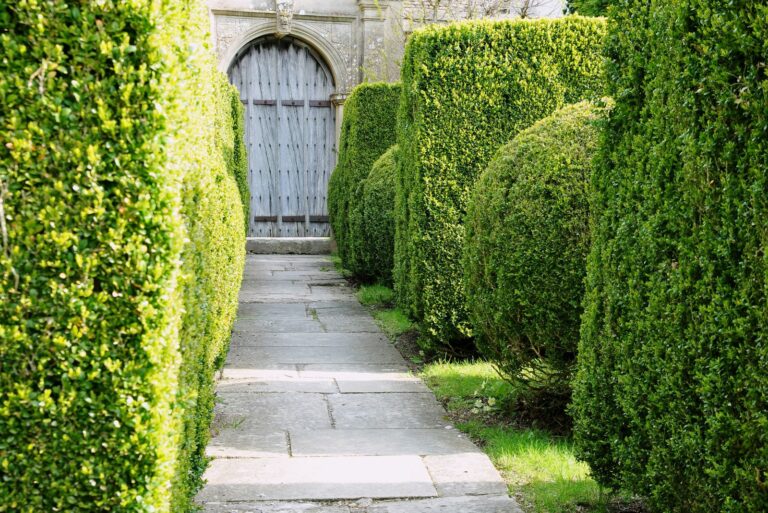 hedges for privacy