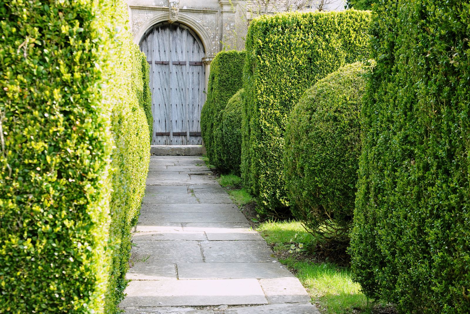 hedges for privacy