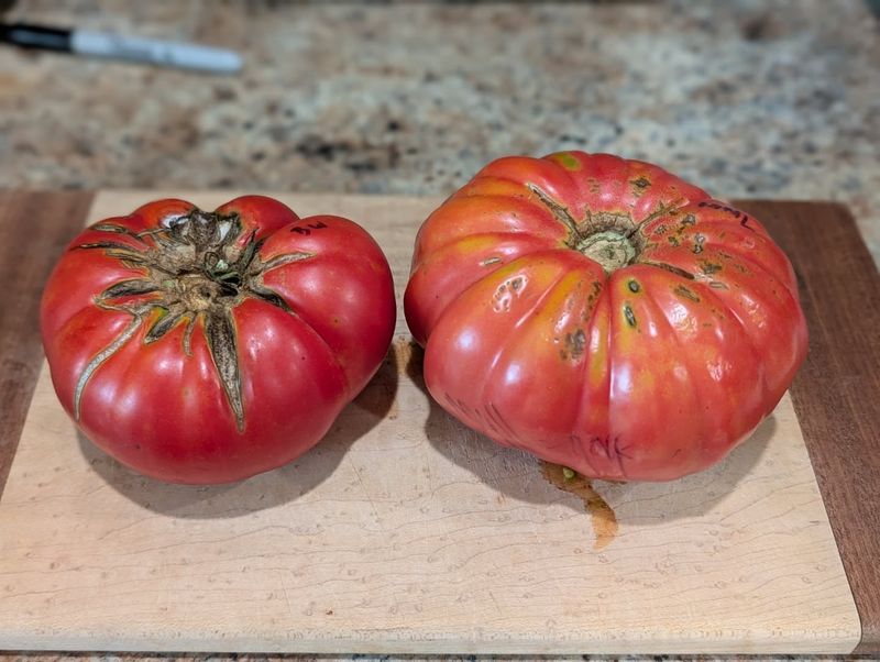 Brandywine Still Reigns As The Juicy Summer Favorite