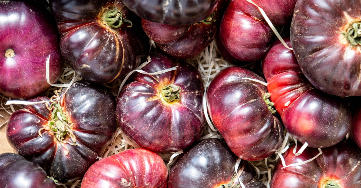 Cherokee Purple Salad Tomato