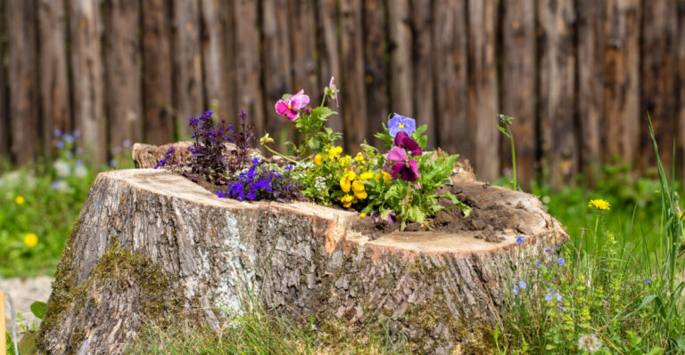 9 Creative Things To Do With A Tree Stump In Your Georgia Backyard