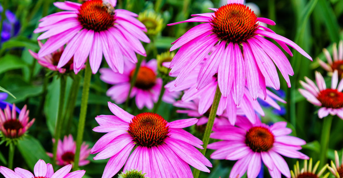 9 Perennials Oregon Gardeners Should Cut Back In March