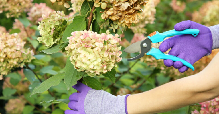 9 Shrubs Pennsylvania Gardeners Should Prune In March