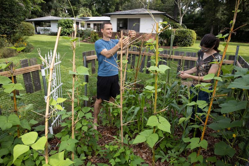 Start With Florida-Friendly Crops