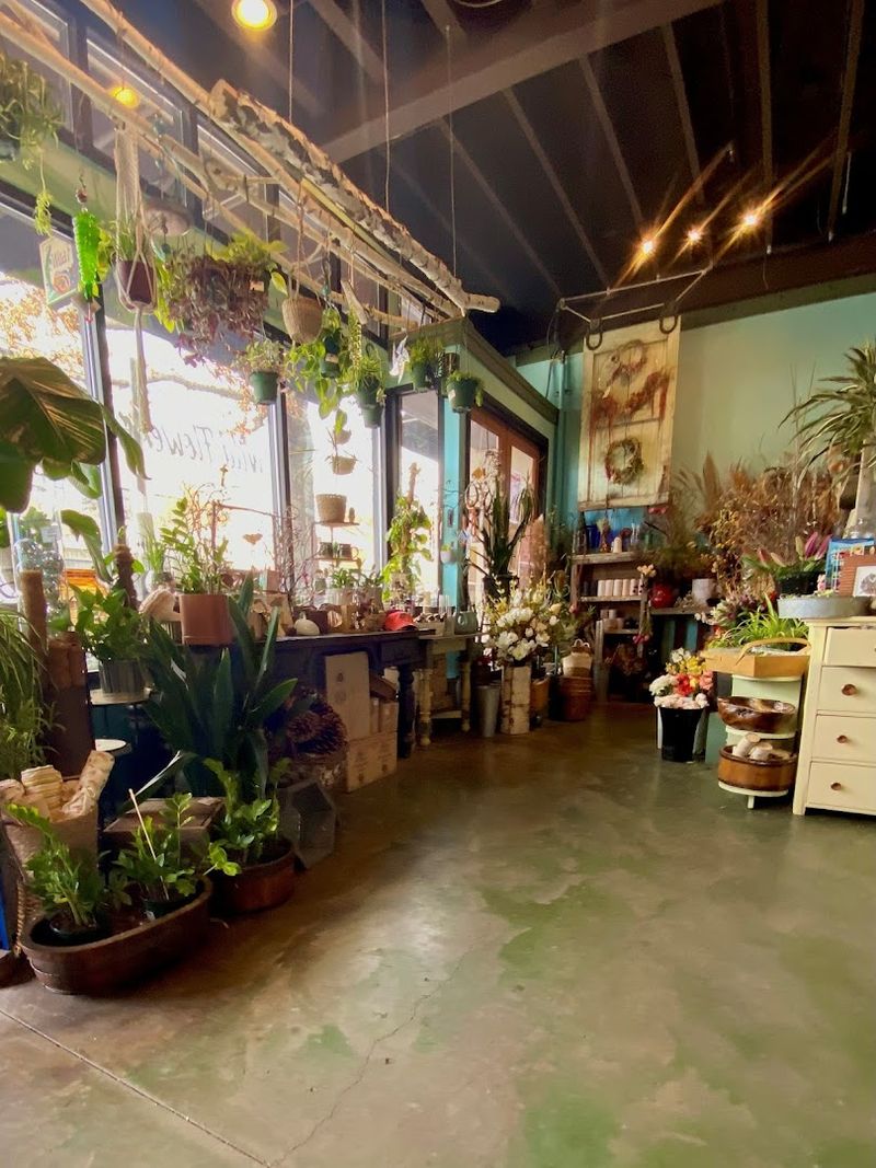 Wild Flowers Of Oregon