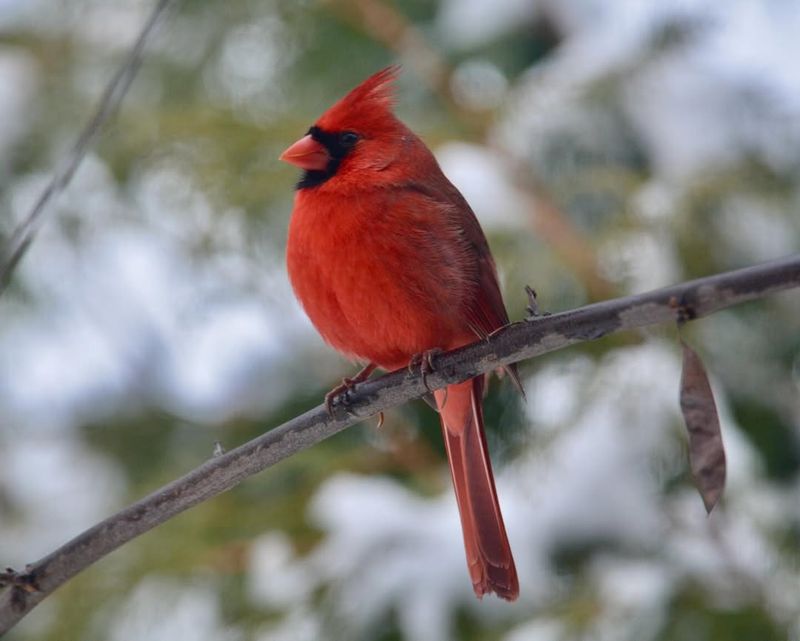 A Reminder To Appreciate Life's Small Wonders