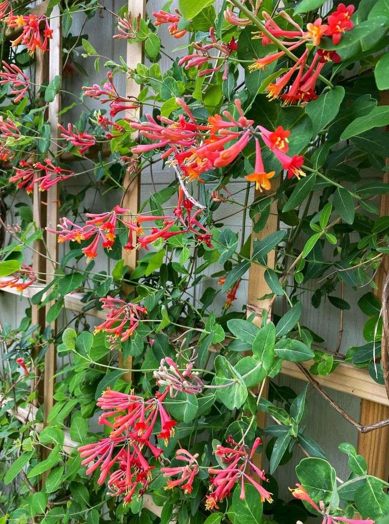 Low-Maintenance Beauty