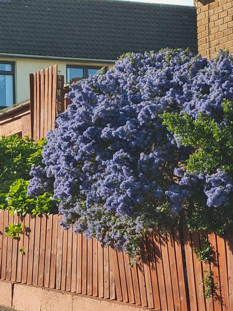 Built To Survive Here