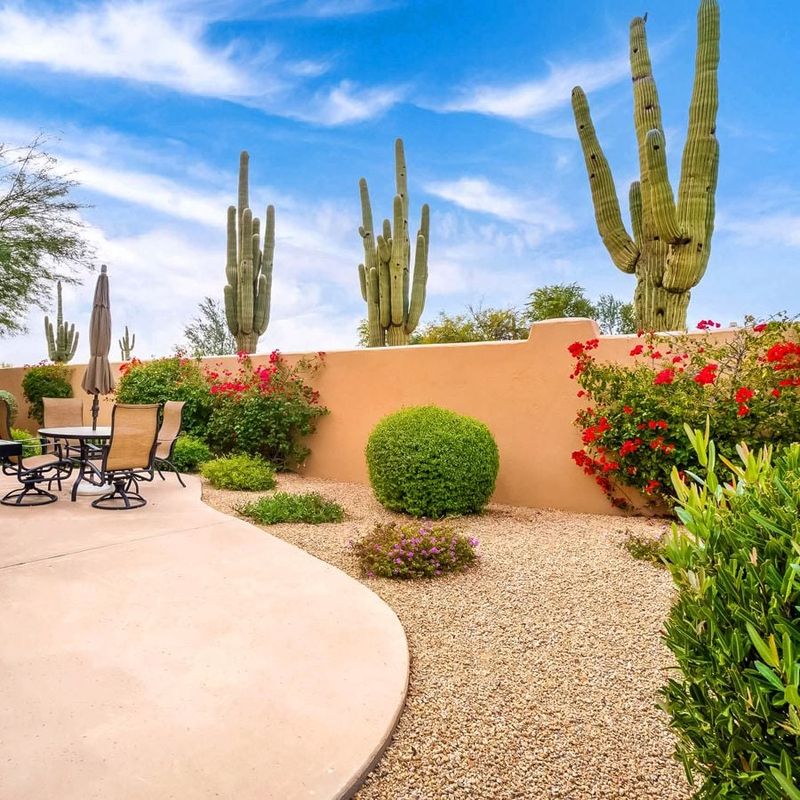 Smart Support For Water-Wise Arizona Landscaping