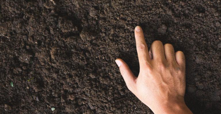 A Simple Test To Know When Ohio Soil Is Warm Enough For Planting