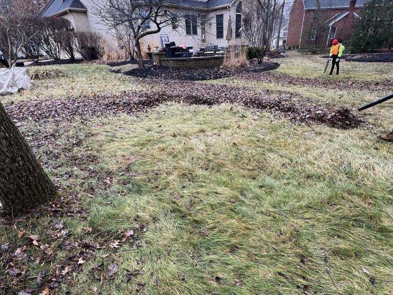 Spring Growth May Look Wild But That Does Not Mean Shave It Down