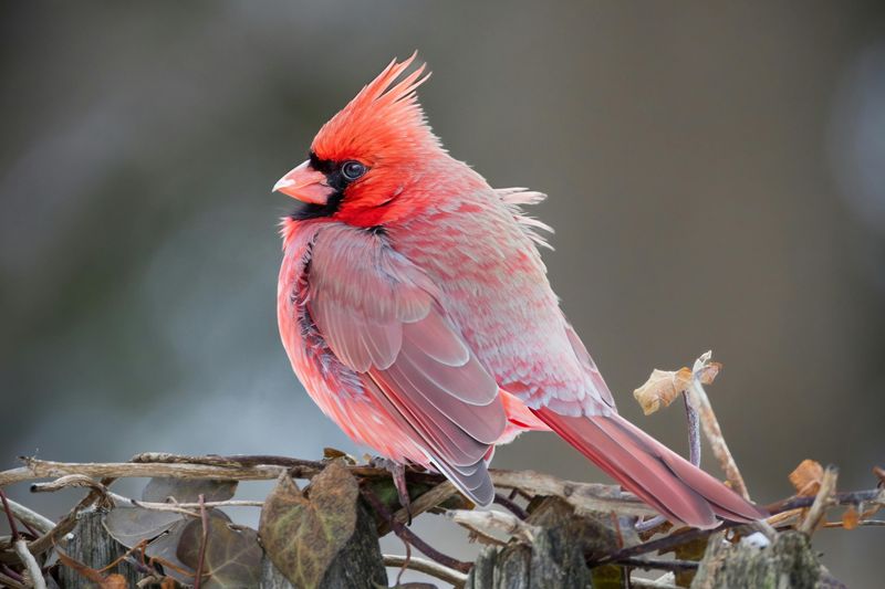 A Sign Of Hope In Difficult Times