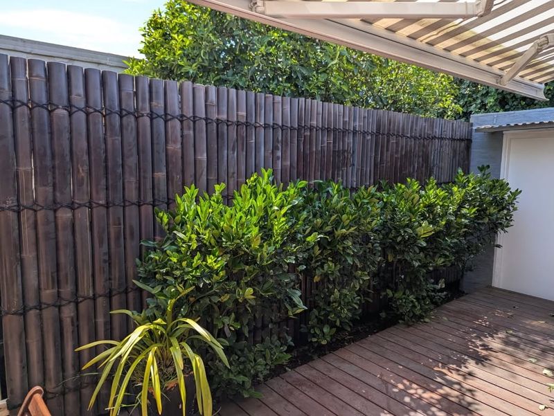 Screens Or Tall Plants Create Privacy Without Closing Things Off