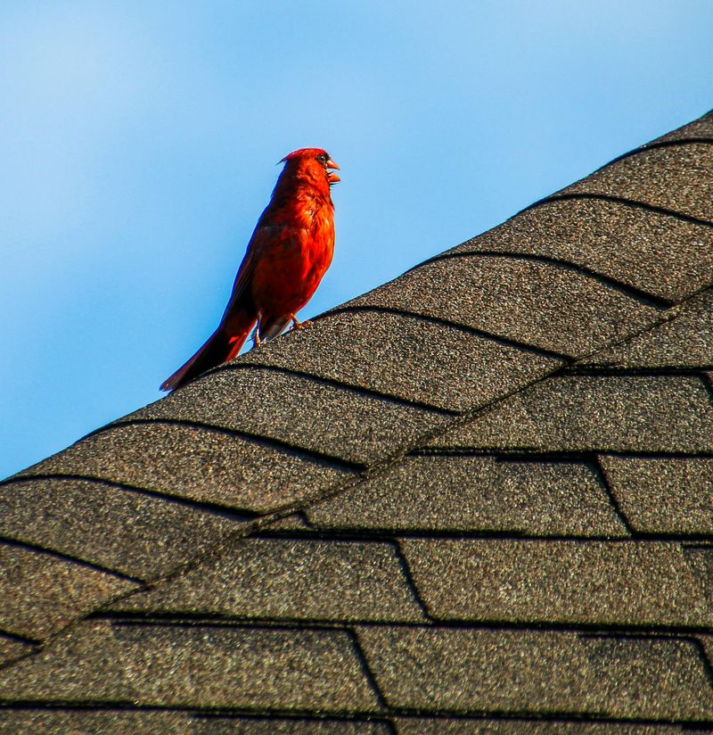 A Gentle Nudge To Pay Attention To The Present