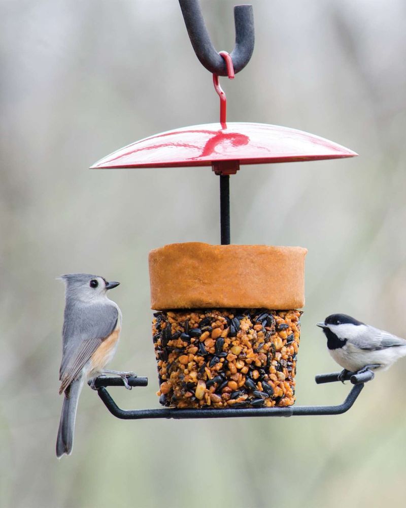 Avoid Using Pesticides